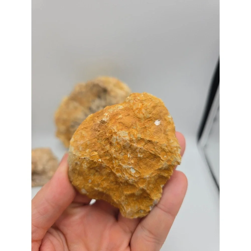 Natural Quartz Geode Crystal Lot‎ 6pc Tan White Good Raw Mineral Specimen